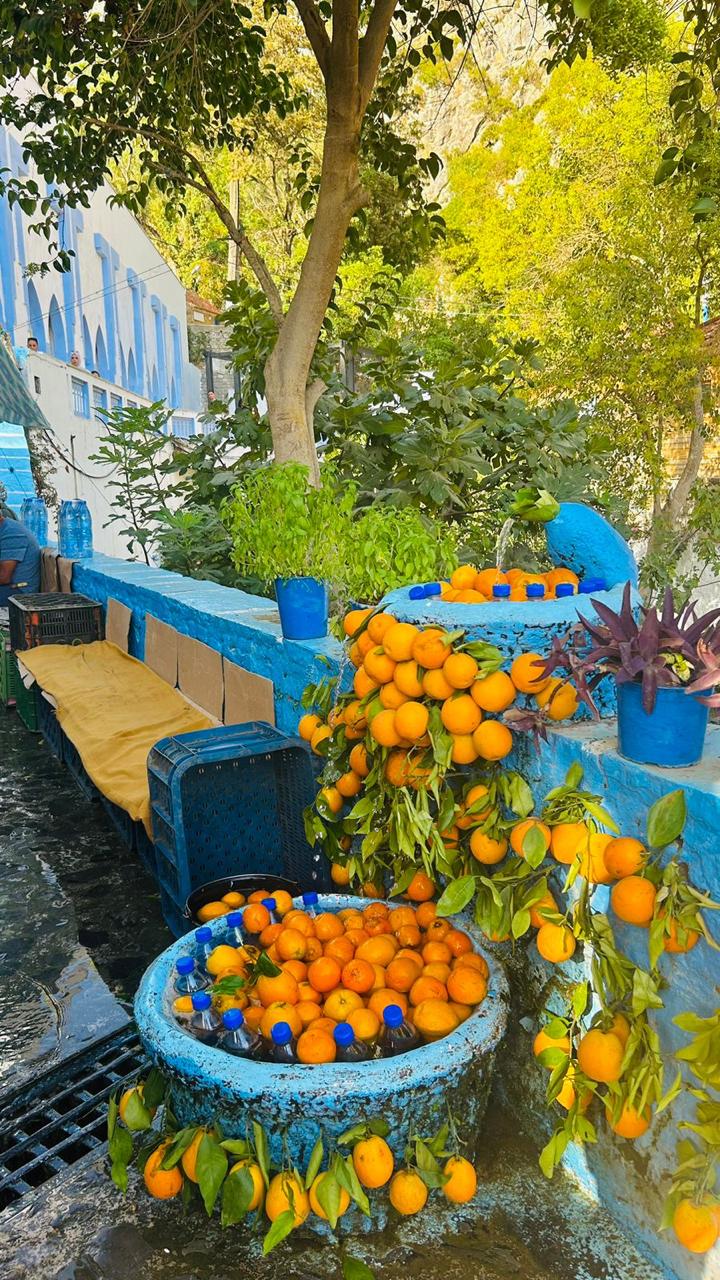 Tours From Casablanca To Marrakech 12 Days / 11 Nights